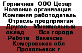 Горничная. ООО Цезар › Название организации ­ Компания-работодатель › Отрасль предприятия ­ Другое › Минимальный оклад ­ 1 - Все города Работа » Вакансии   . Кемеровская обл.,Прокопьевск г.